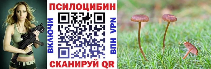 магазин продажи   Сертолово  Псилоцибиновые грибы GOLDEN TEACHER 
